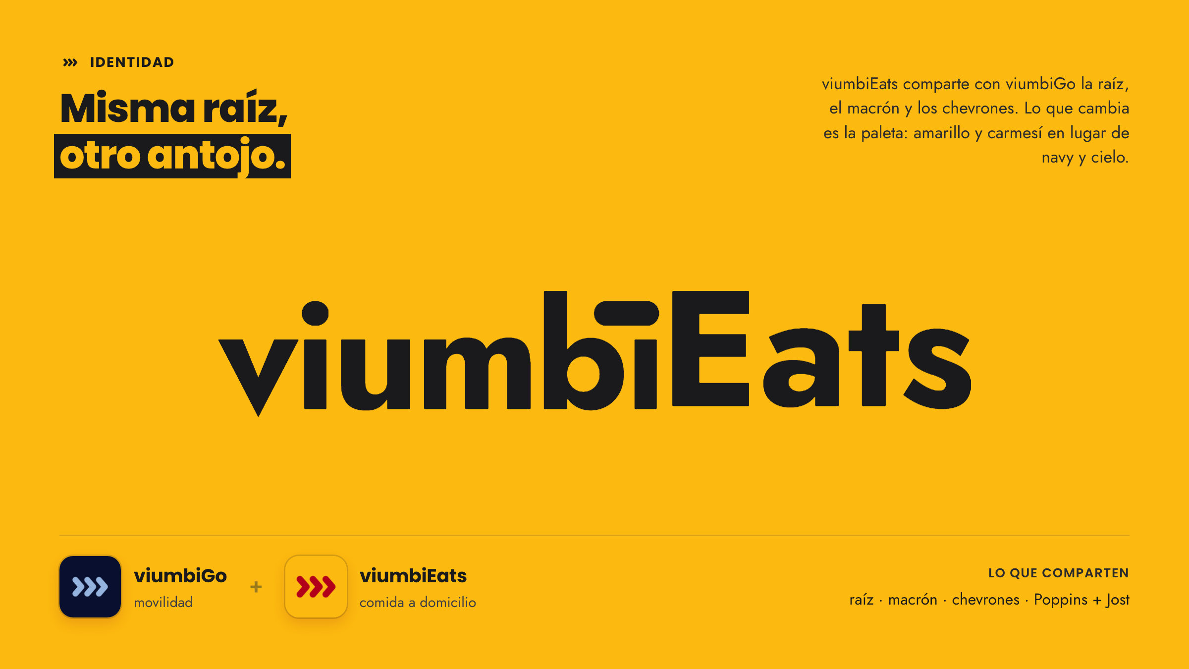 Identity · the viumbi family